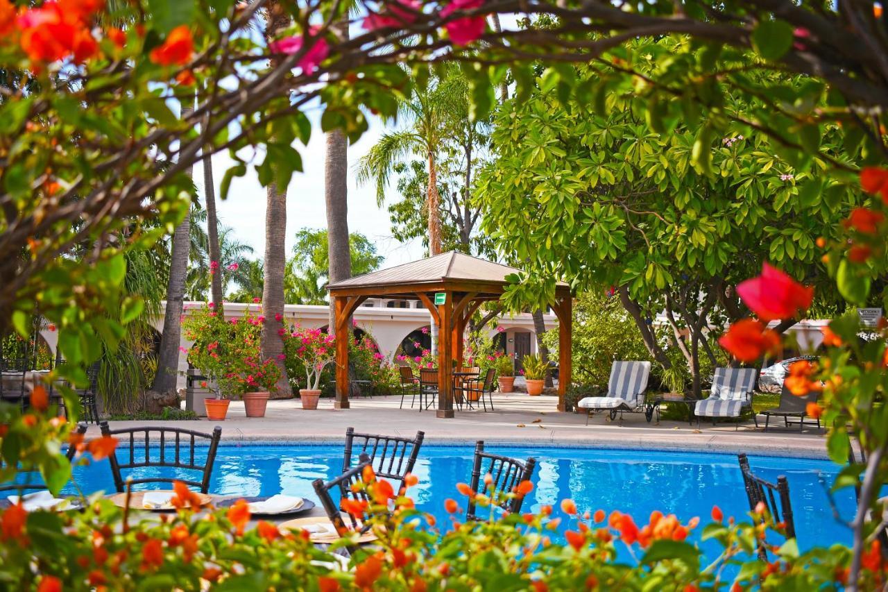 Hotel Del Rio Navojoa Εξωτερικό φωτογραφία