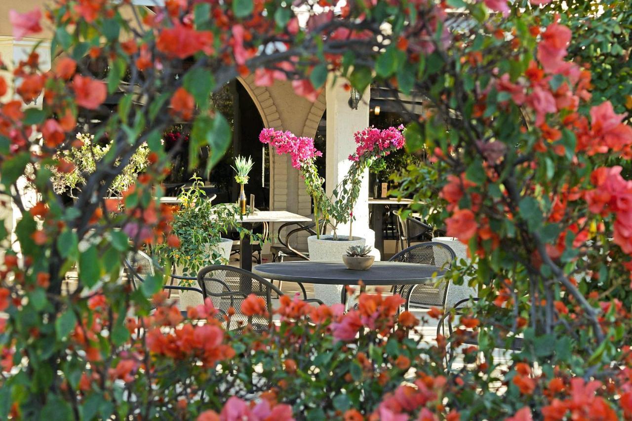 Hotel Del Rio Navojoa Εξωτερικό φωτογραφία